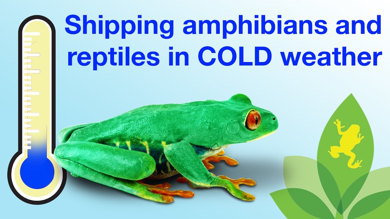 Josh's Frogs Cold Weather Shipping Kits