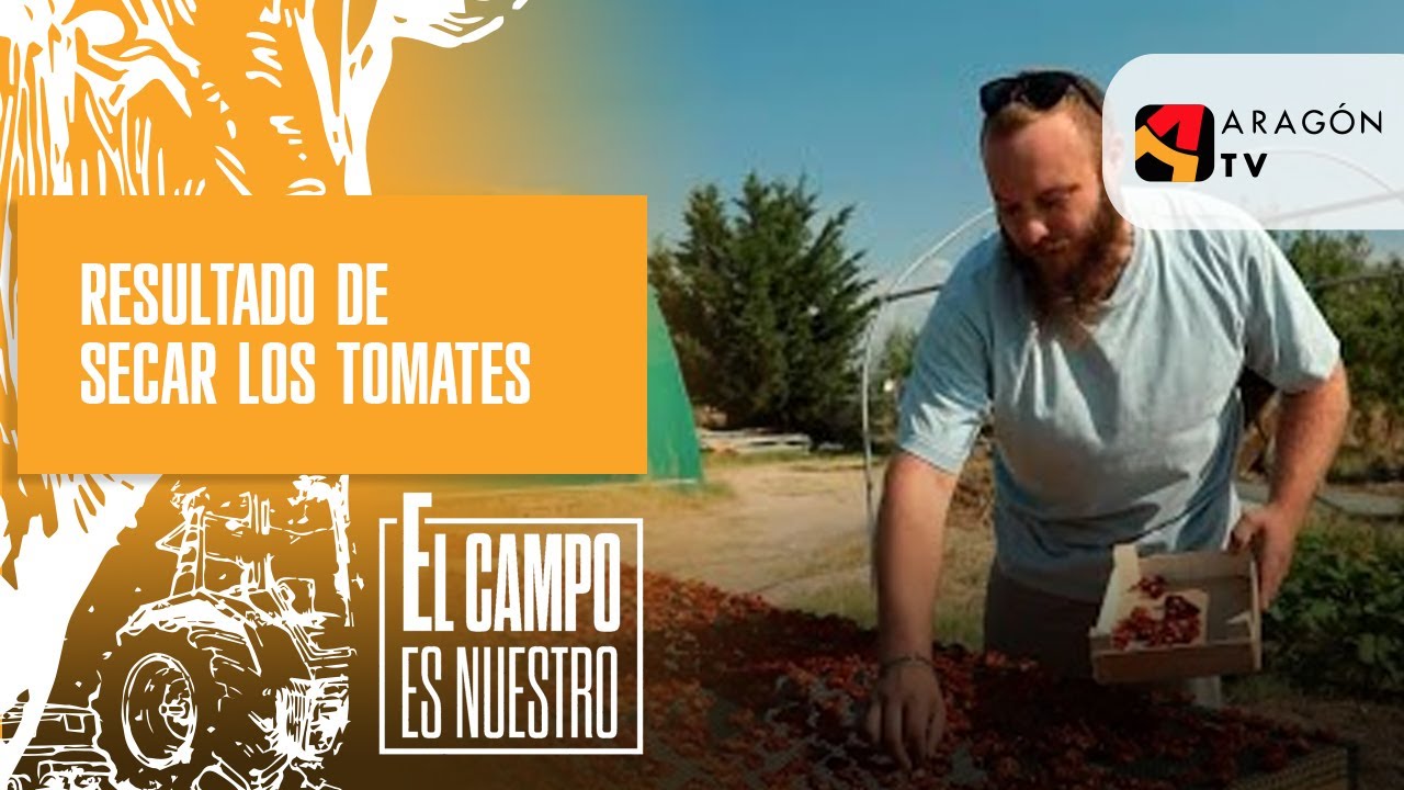 Resultado de secar tomates