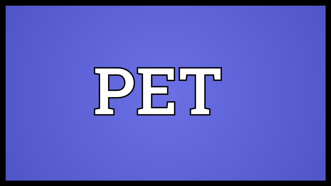 PET Meaning