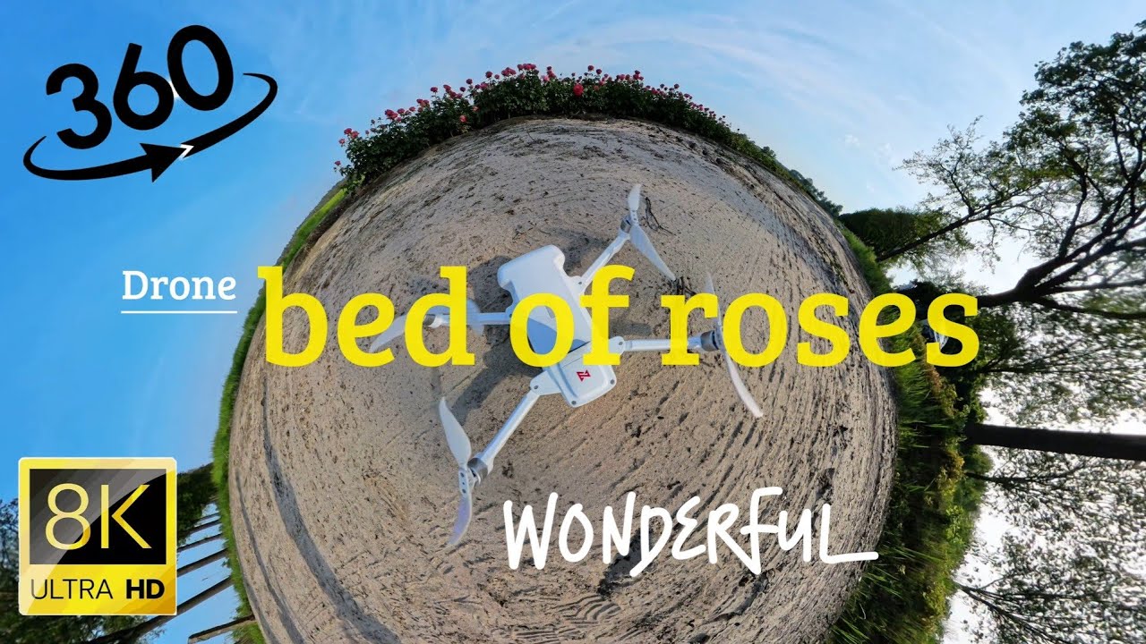 Field of Roses from the air: insta360 x4 drone 8K video  sensation