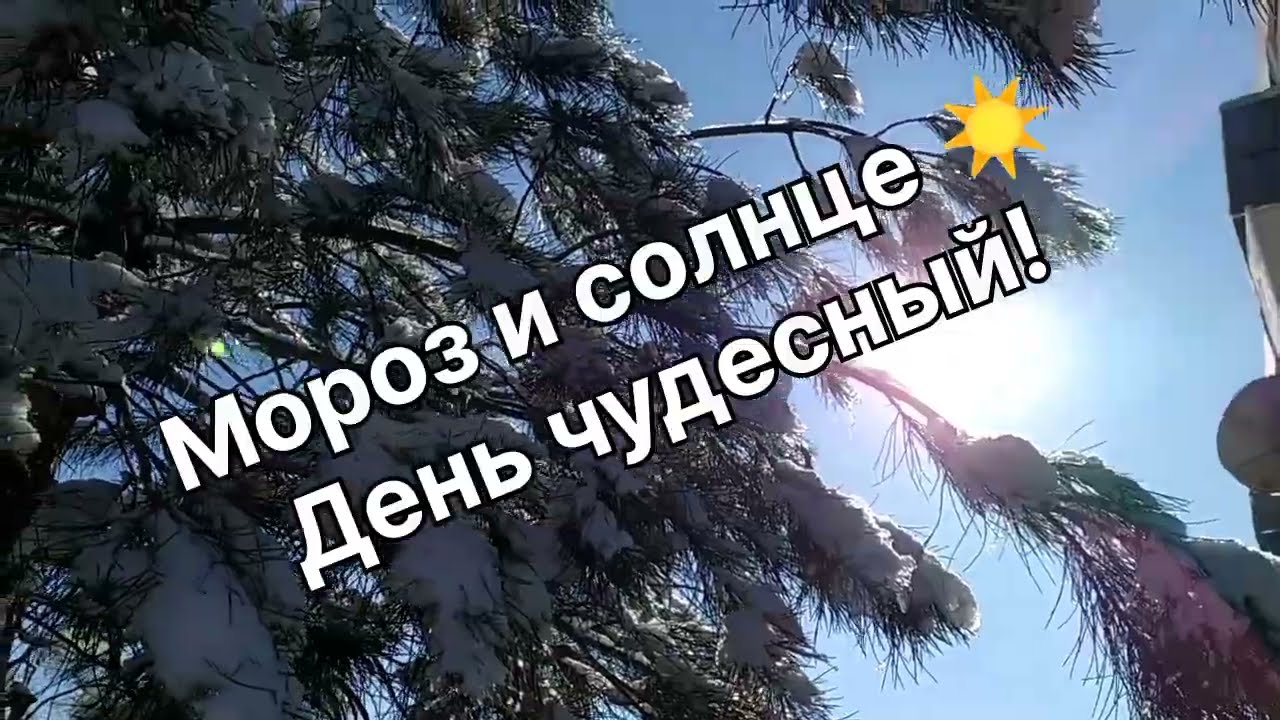 Мороз и солнце (г Алмалык)