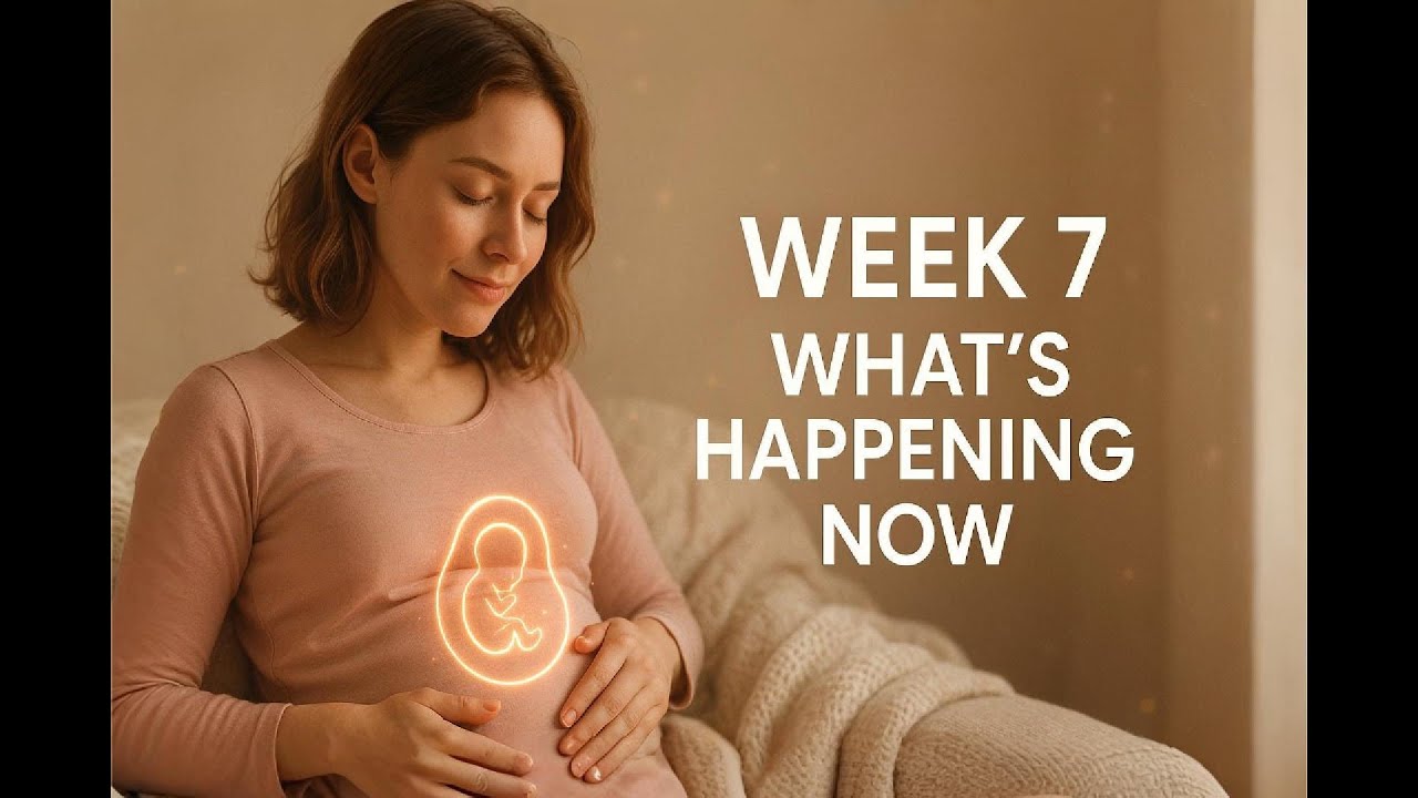 7 Weeks Pregnant: Your Baby’s Biggest Growth Leap Yet: What Every Mom Should Know! - week by week