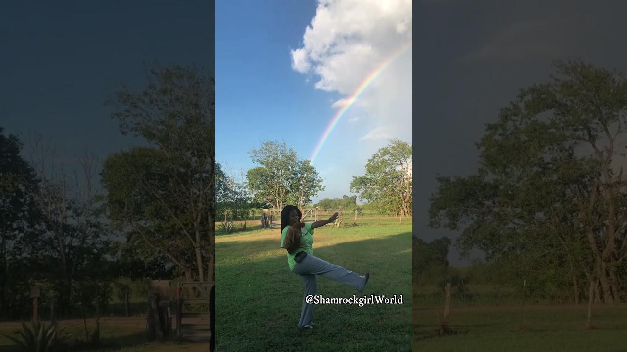 Irish Dance With a Chicken and Rainbow-Paddy Taylor&rsquo;s Reel (By Solas)
