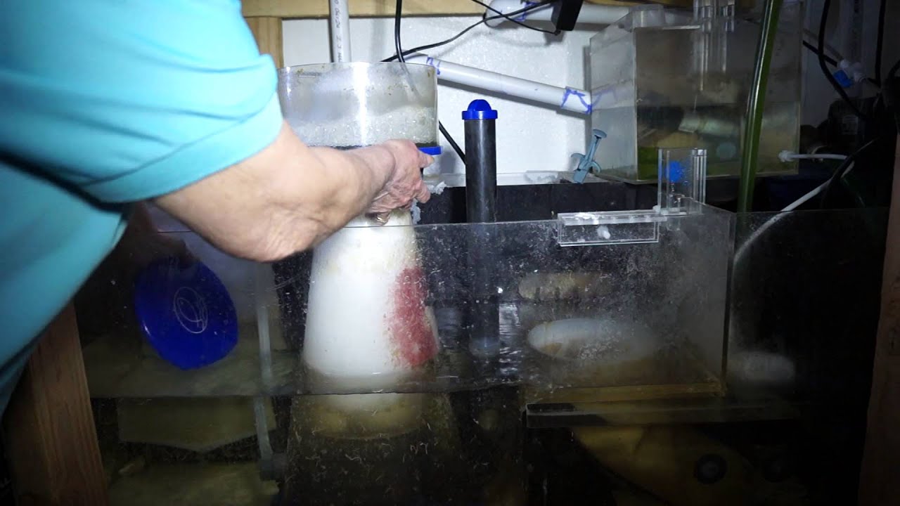 How to fix skimmer overflow problem