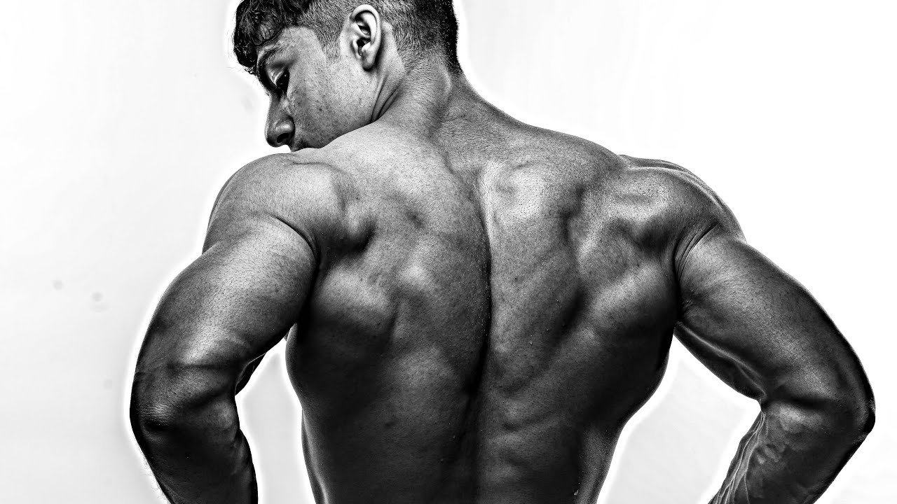 Back & Arms