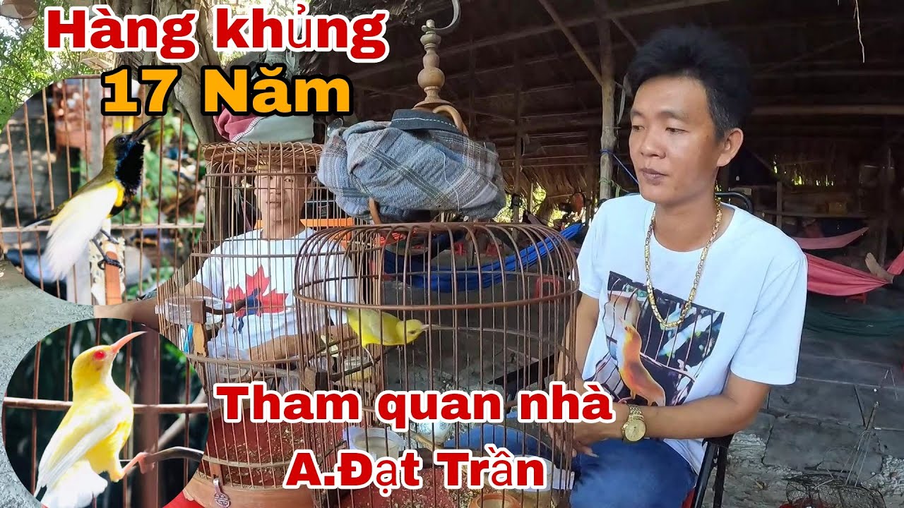 THAM QUAN GIÀN CHIM HÚT MẬT ĐỘT BIẾN 