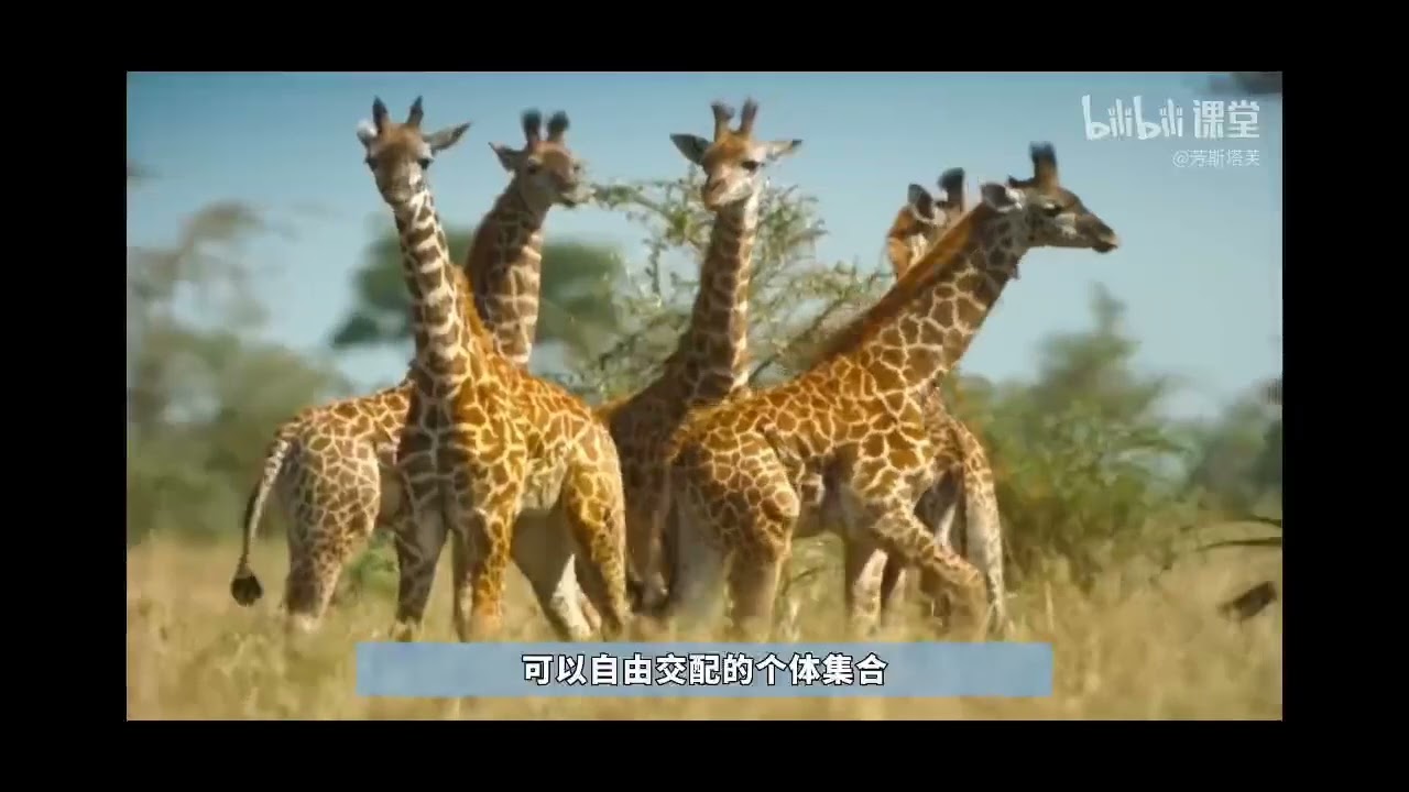04 理解演化的真实含义