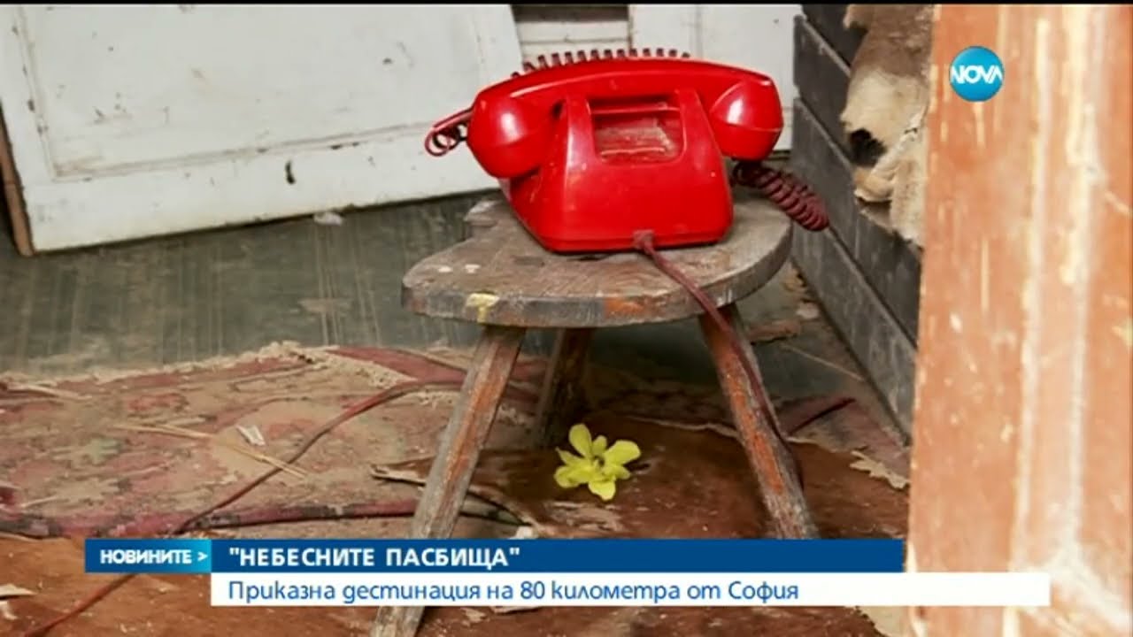 Парк 