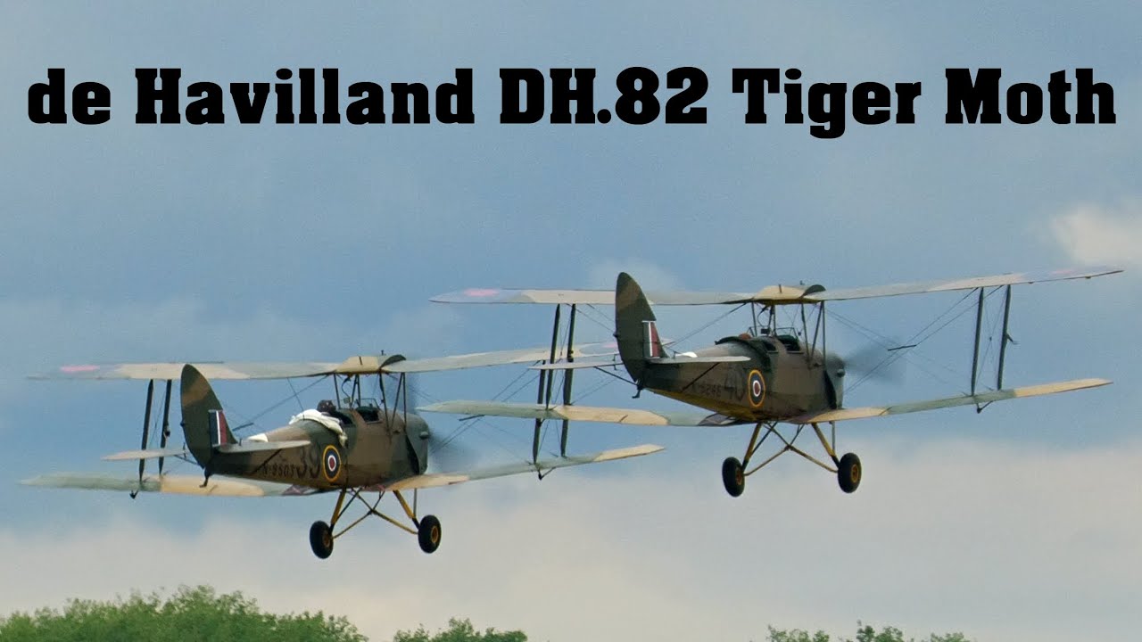 2x de Havilland DH.82 Tiger Moth | Pardubice Airshow 2022 | 4K