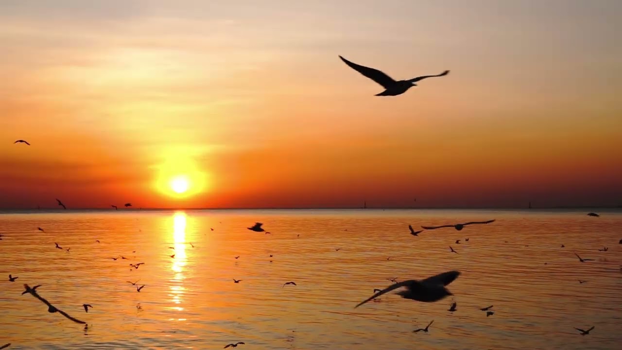 Lent Devotional Week 1 - Saturday February 21, 2026