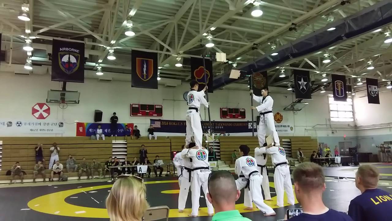 South Korean Army taekwondo demonstration