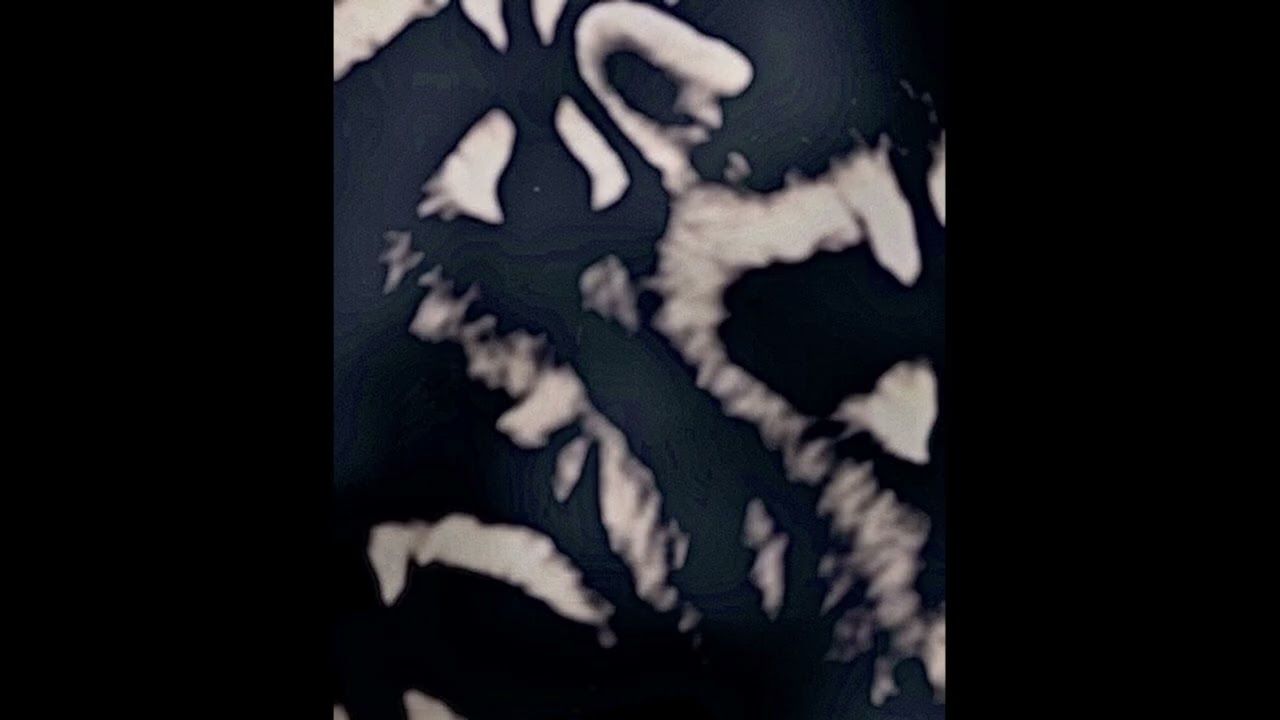 Shigi - Who's Real (Single)