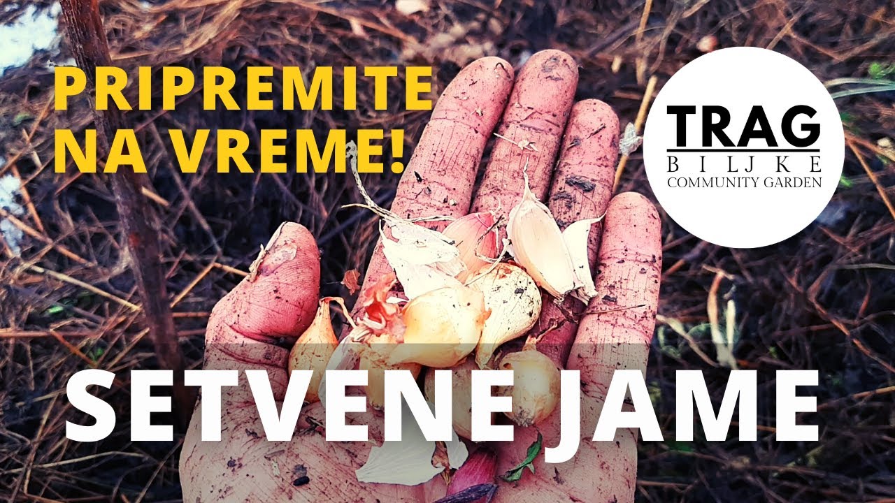 SETVENE JAME (2021) [TRAG BILJKE]