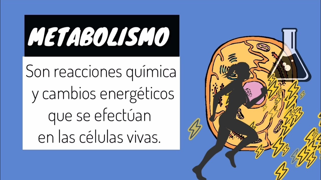 💪ANABOLISMO Y CATABOLISMO en 5 minutos |GUIA EXÁMEN UNAM BIOLOGIA