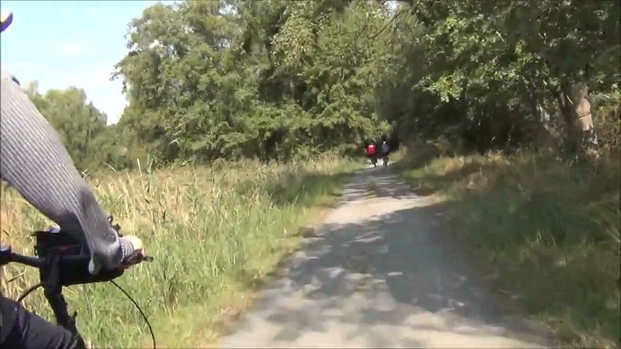 Birkenheide 2024