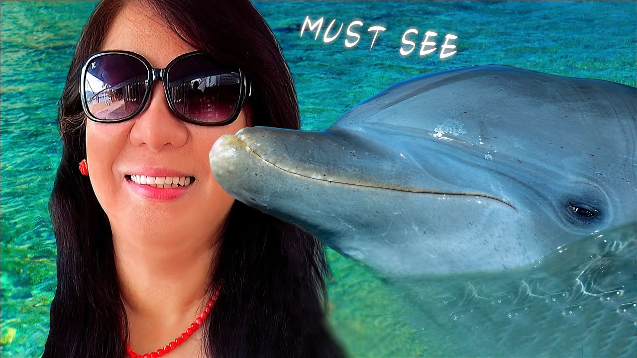 🐬 Dolphin Encounter/Florida Keys! Dive into Magic: Unforgettable! In RV! 🏕️ @ohmaitravels7829
