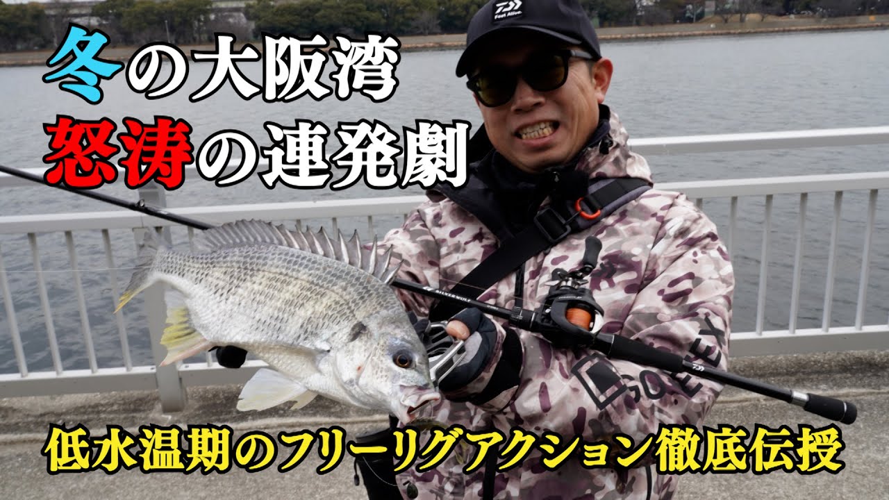 【もりぞー】大阪湾で陸っぱりチニング【チニングのすべて】