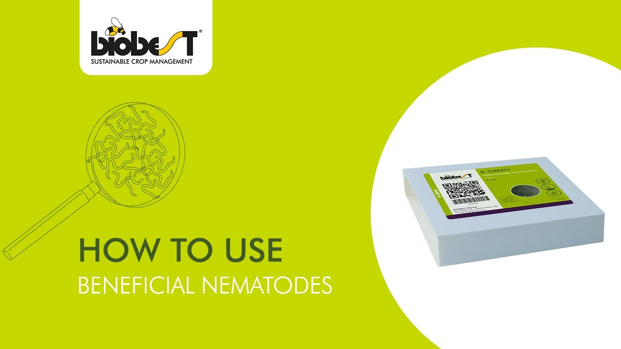 How to use nematodes from Biobest