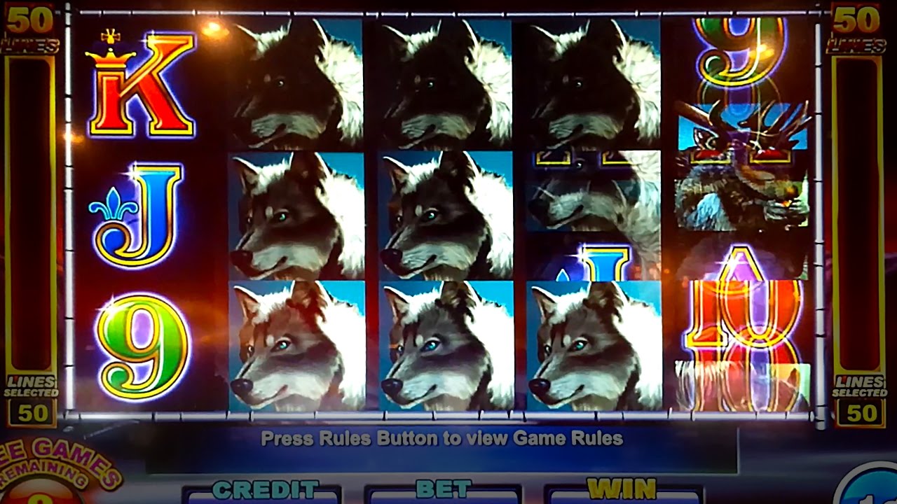 Winning Wolf Slot Machine *100X BIG WIN* Bonus Retrigger!