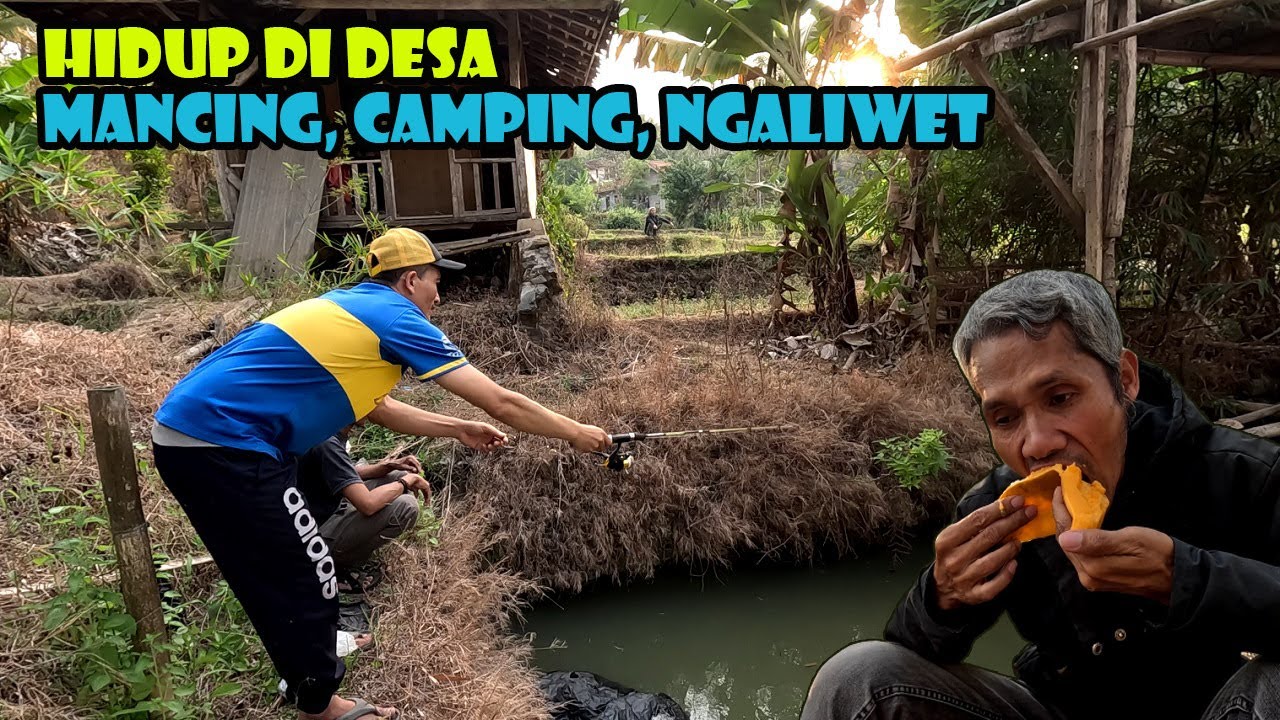 INDAHNYA HIDUP DI PEDESAAN..!! BERBUNRANG BERTAHAN HIDUP DI KEBUN ORANG
