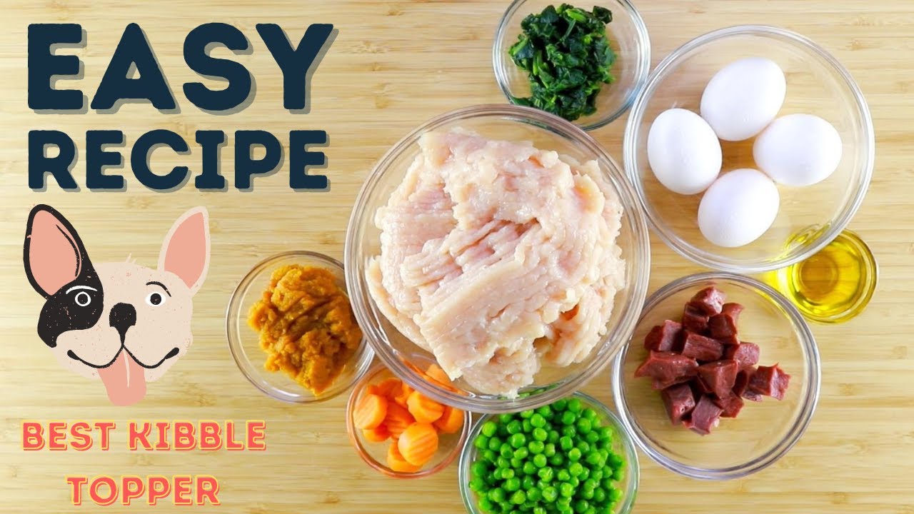 My Dog Asked Me to Sous Vide His Dinner (Healthy Homemade Dog Food Recipe) - Little Big Dog