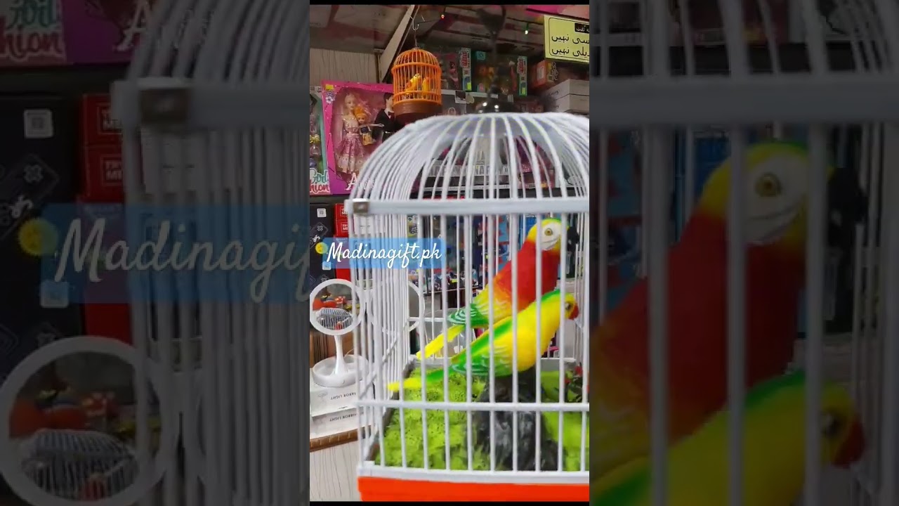 Singing Bird Clapping Bird Nice Toy Madina Gift #birds #singingbirds #birdscage #toys #madinagiftpk