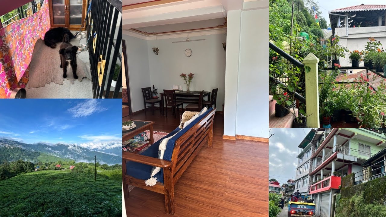 Best air bnb in Darjeeling | Pocket friendly home stay in Darjeeling | Best view bnb |
