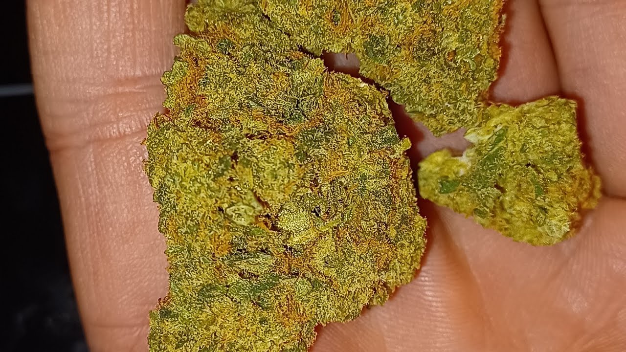 Lemon Kush, WNC CBD, (is it good?)