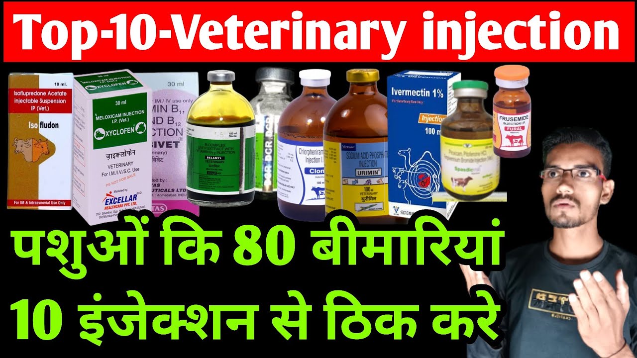 Top 10 veterinary injection | Vet injection | Dcr/tribivet/redima/isoflude/melonex/hitec/spasdicvet