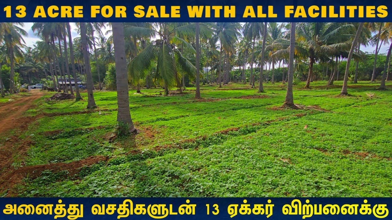 🌴அனைத்து வசதிகளுடன் 13 ஏக்கர் விற்பனைக்கு | 13 ACRE🌳FOR SALE #best #land #lowbudget #property #farm