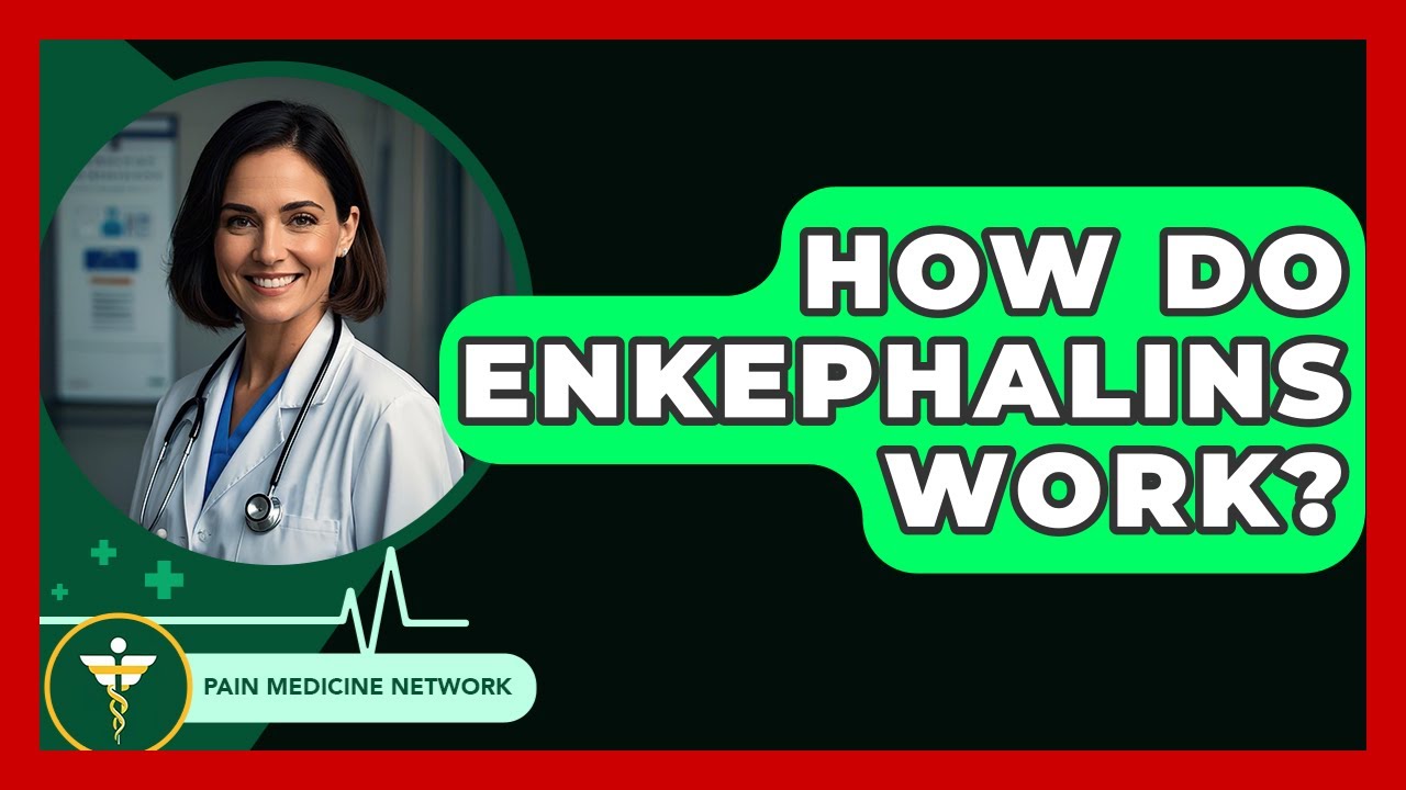 How Do Enkephalins Work? - Pain Medicine Network