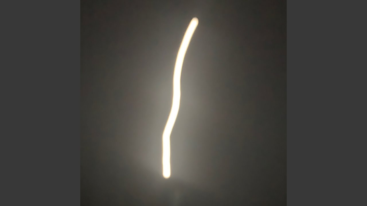 Mooon Walkers