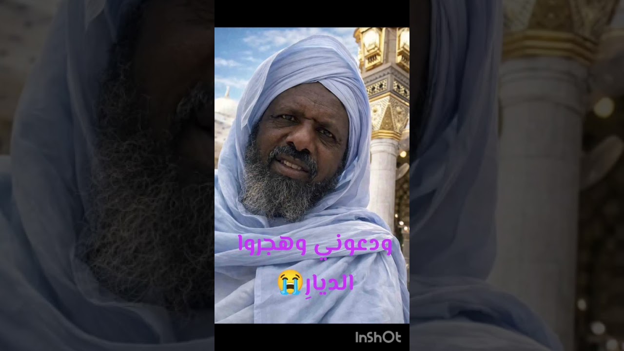 ليس قصدي لبنى و هاجر بس مرادي السادة العدول😭😭 سيدي الشيخ عبدالحميد صباحي النجمي