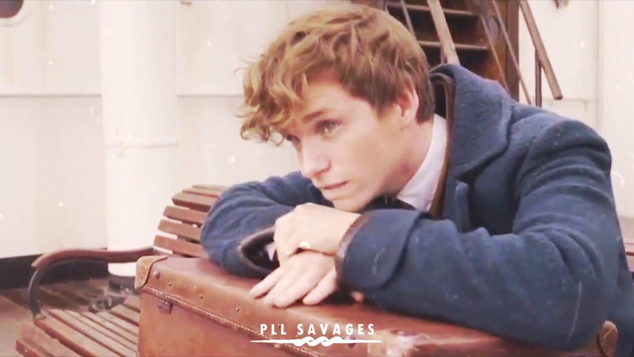 newt scamander - you