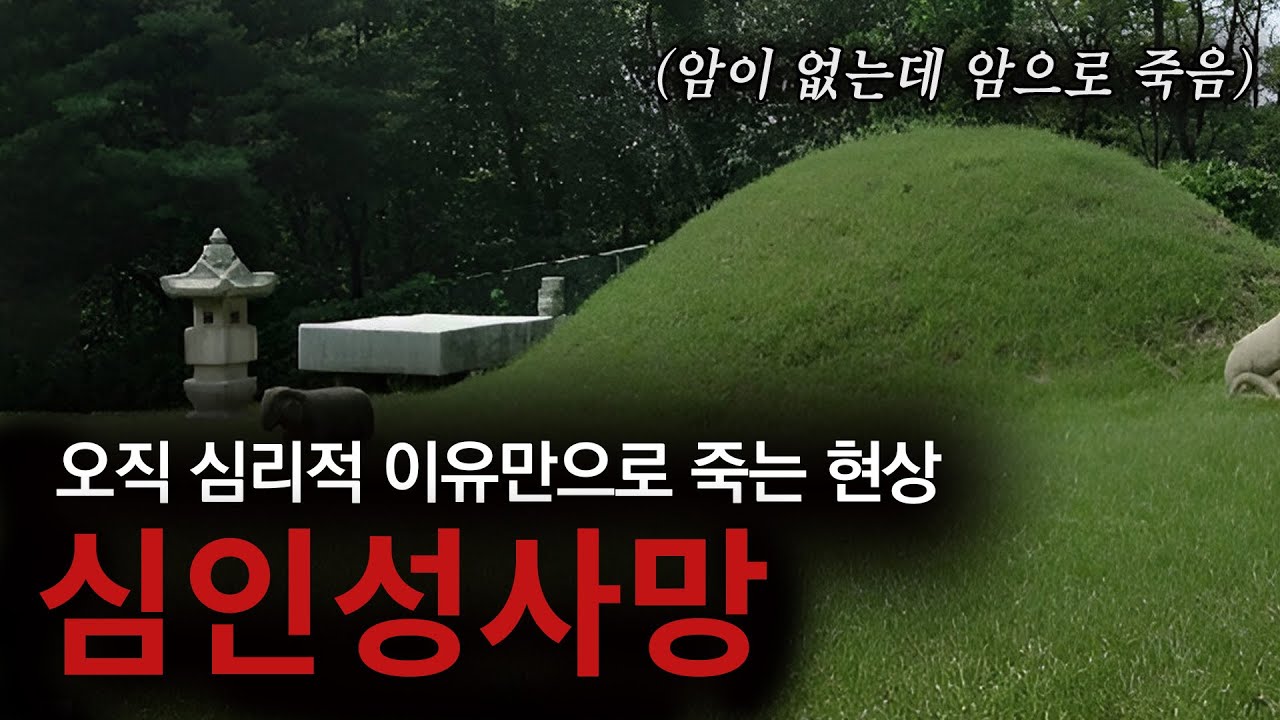 죽을거라는 믿음만으로 죽을 수 있을까? 소위 '부두 죽음'이라 불리는 돌연사의 진실