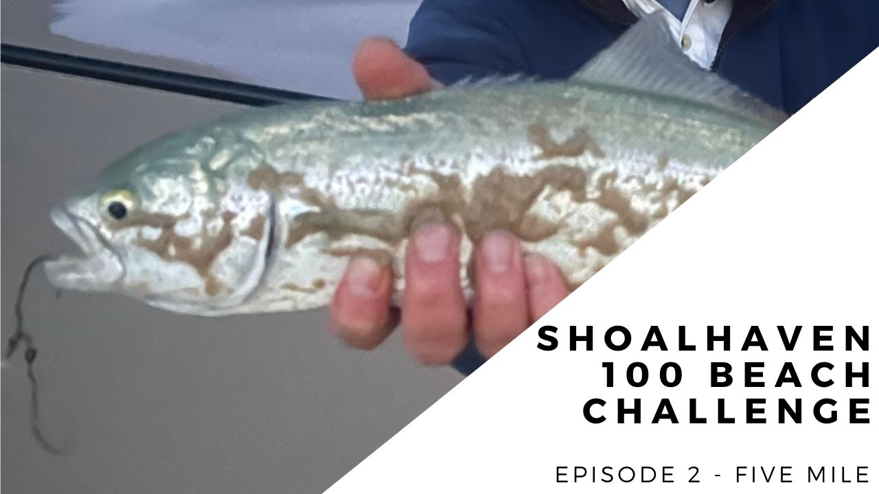 The Shoalhaven 100 Beach Challenge EP2 - Five Mile