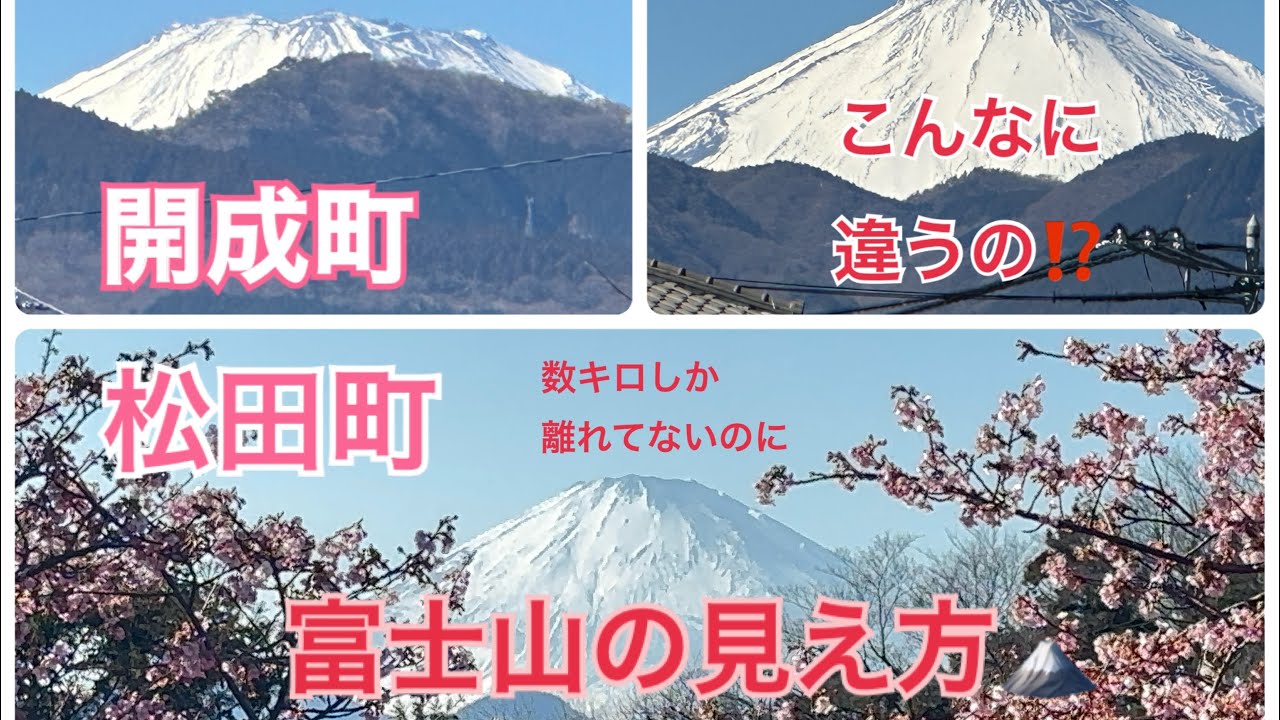 こんなに違うの⁉️富士山の見え方☆松田町と開成町比較☆2026.02☆#富士山 #mtfuji #松田町 #開成町 
