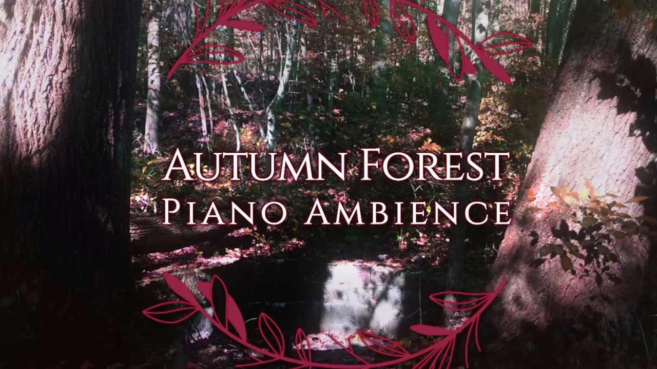 Listen to Burzum Piano Ambience While Sitting in an Autumn Forest