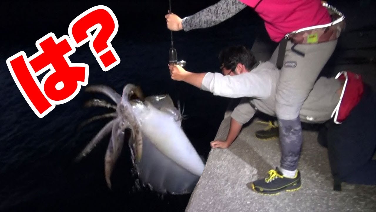 通称「デビル」と呼ばれる巨大イカが釣れてしまった…