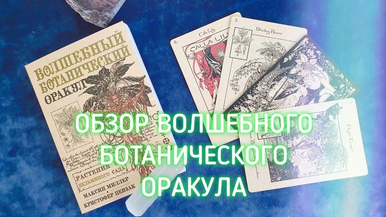 ✨Идеальный подарок!✨ Волшебный Ботанический Оракул - обзор колоды