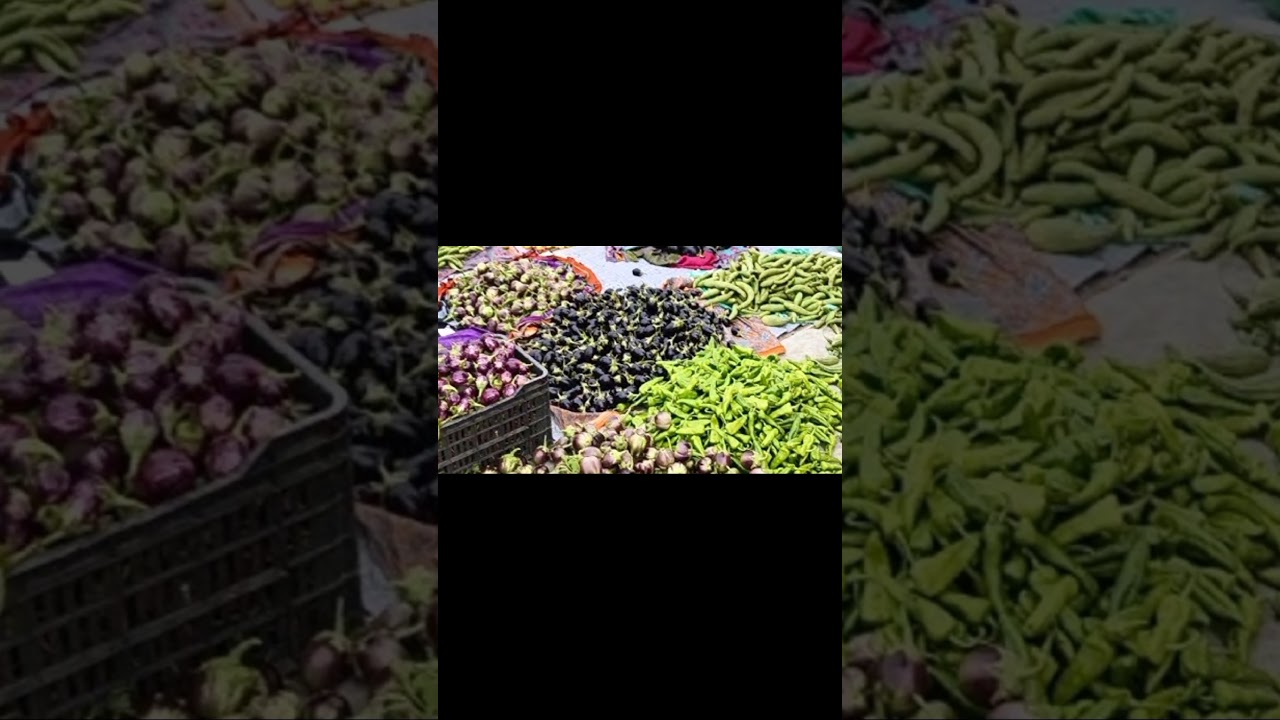 Organic Vegetables Farming Business Idea in India. Best business for students.