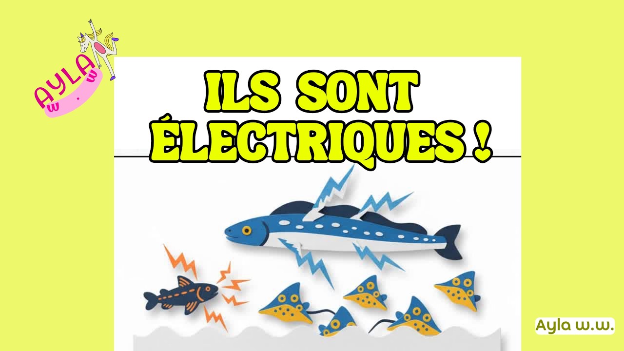 POURQUOI TU NE DOIS PAS LES TOUCHER ! ⚡❌