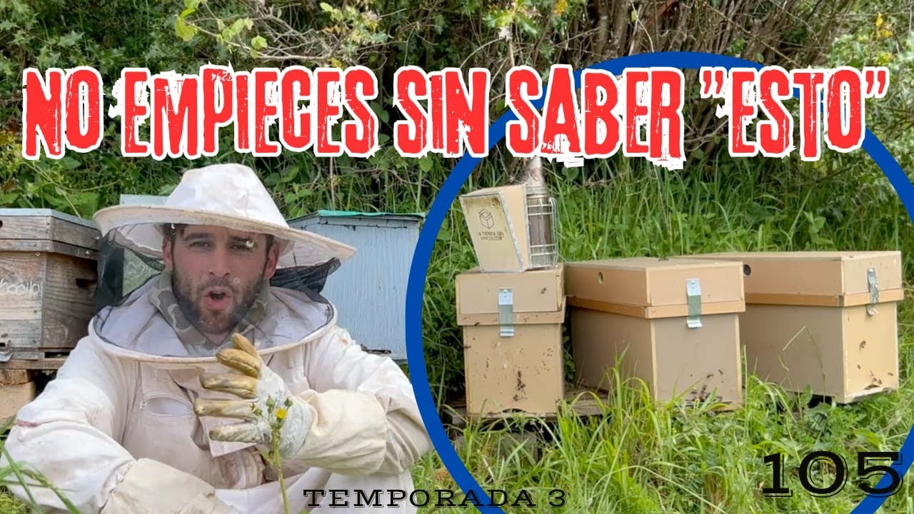 Antes de EMPEZAR con las COLMENAS tienes que ver ESTO🤫