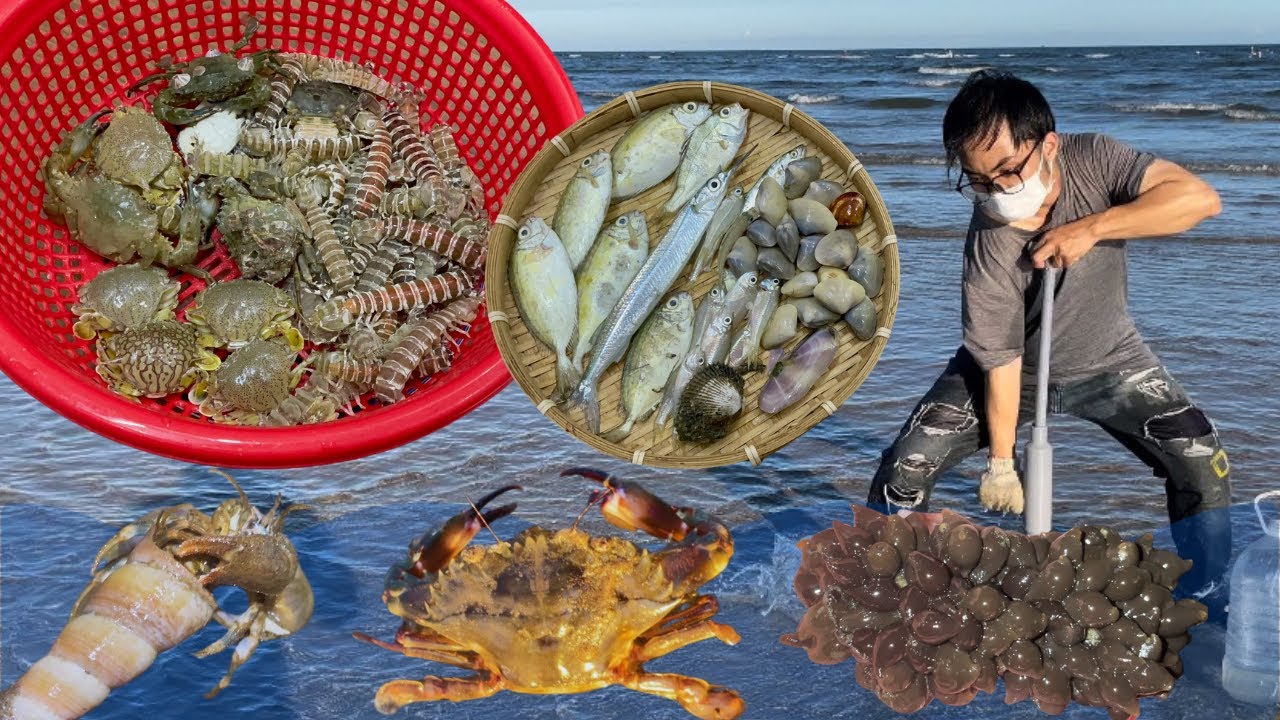 How To Catch Mantis Shrimp - Catch Seafood At Low Tide And Explore Marine Life