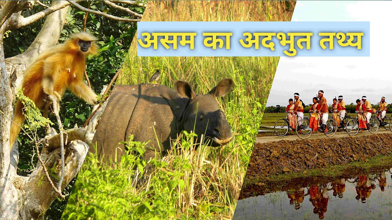 Ten Interesting Facts of Assam [असम के दस रोचक तथ्य]