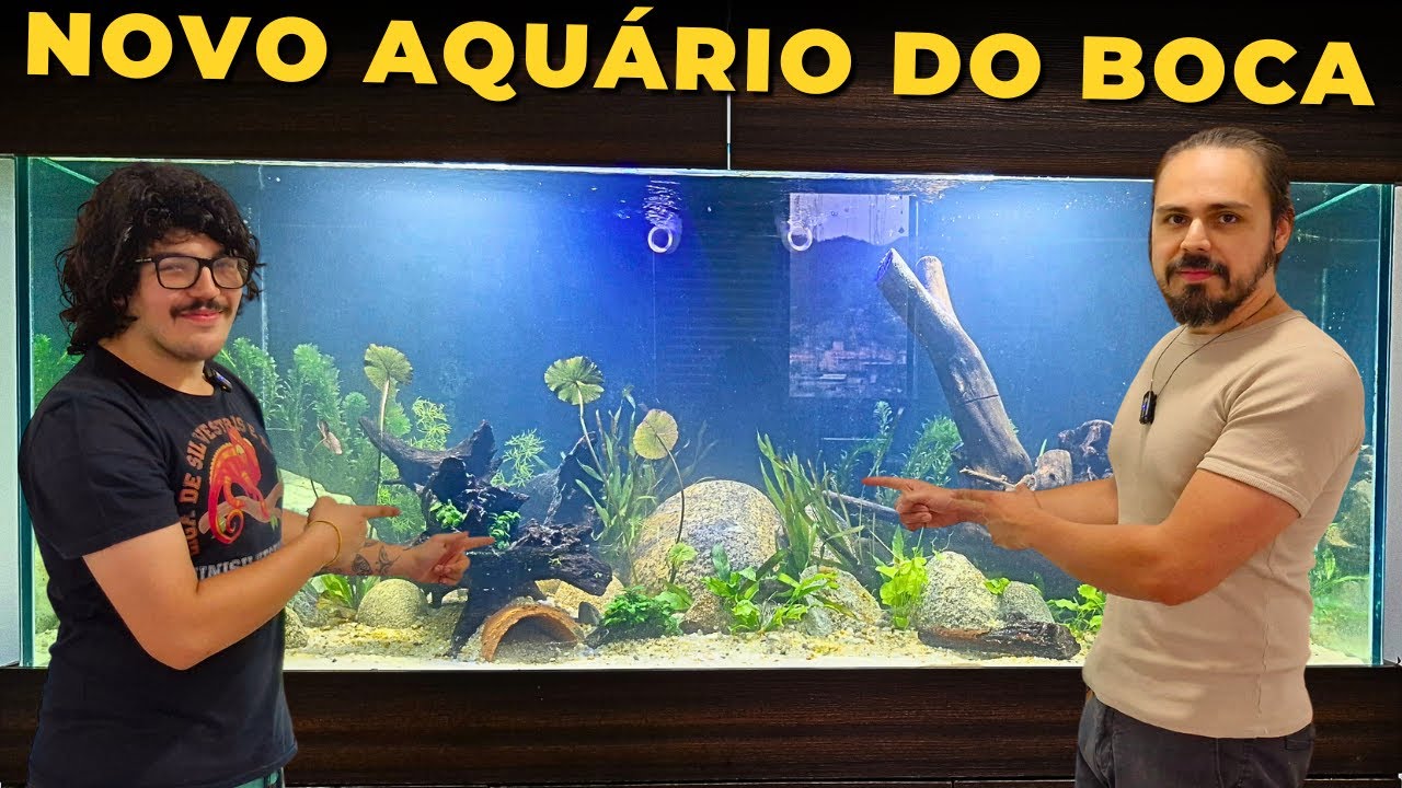 🔴MONTEI UM AQUÁRIO PLANTADO DE 600 LITROS PARA O BOCA |Mr. Betta|