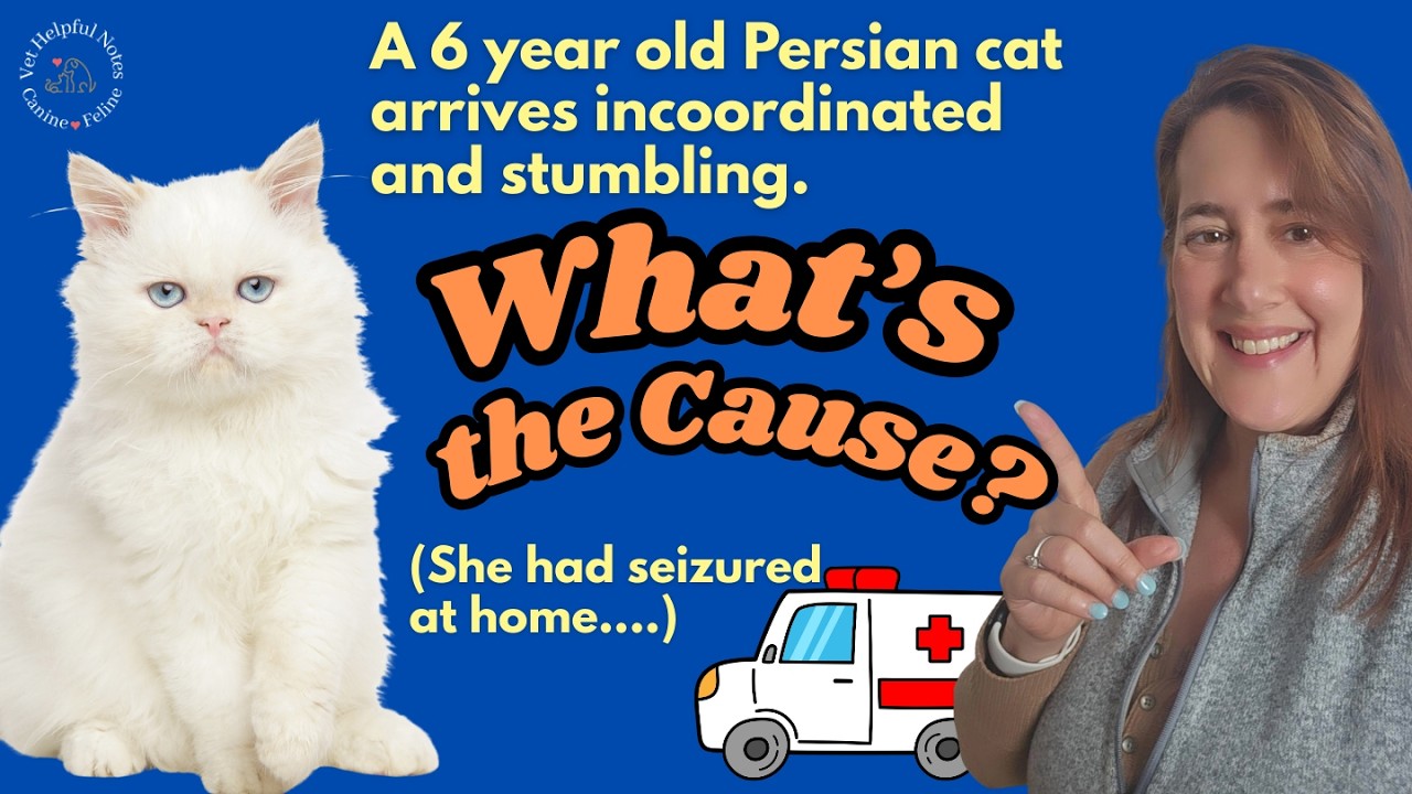 This cat's mysterious neurological collapse