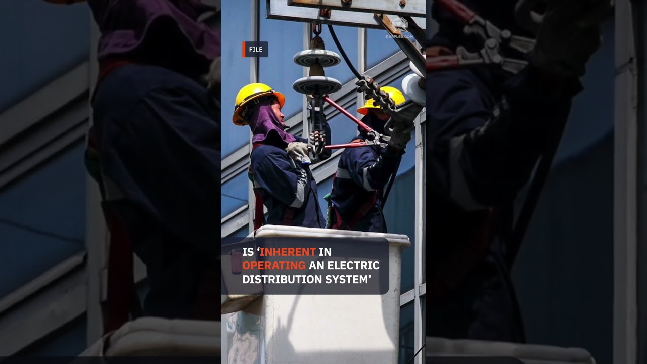 Meralco: Some system loss unavoidable, urges careful EPIRA reform