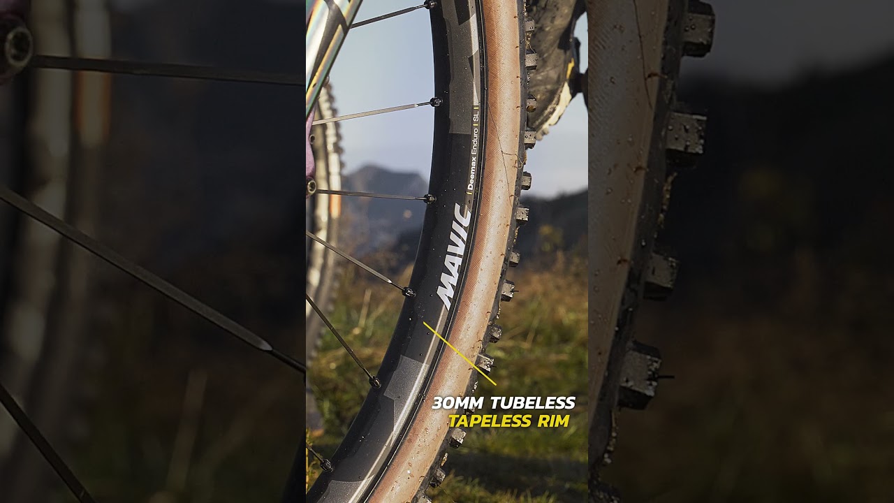 Mavic Deemax Enduro SL wheelset