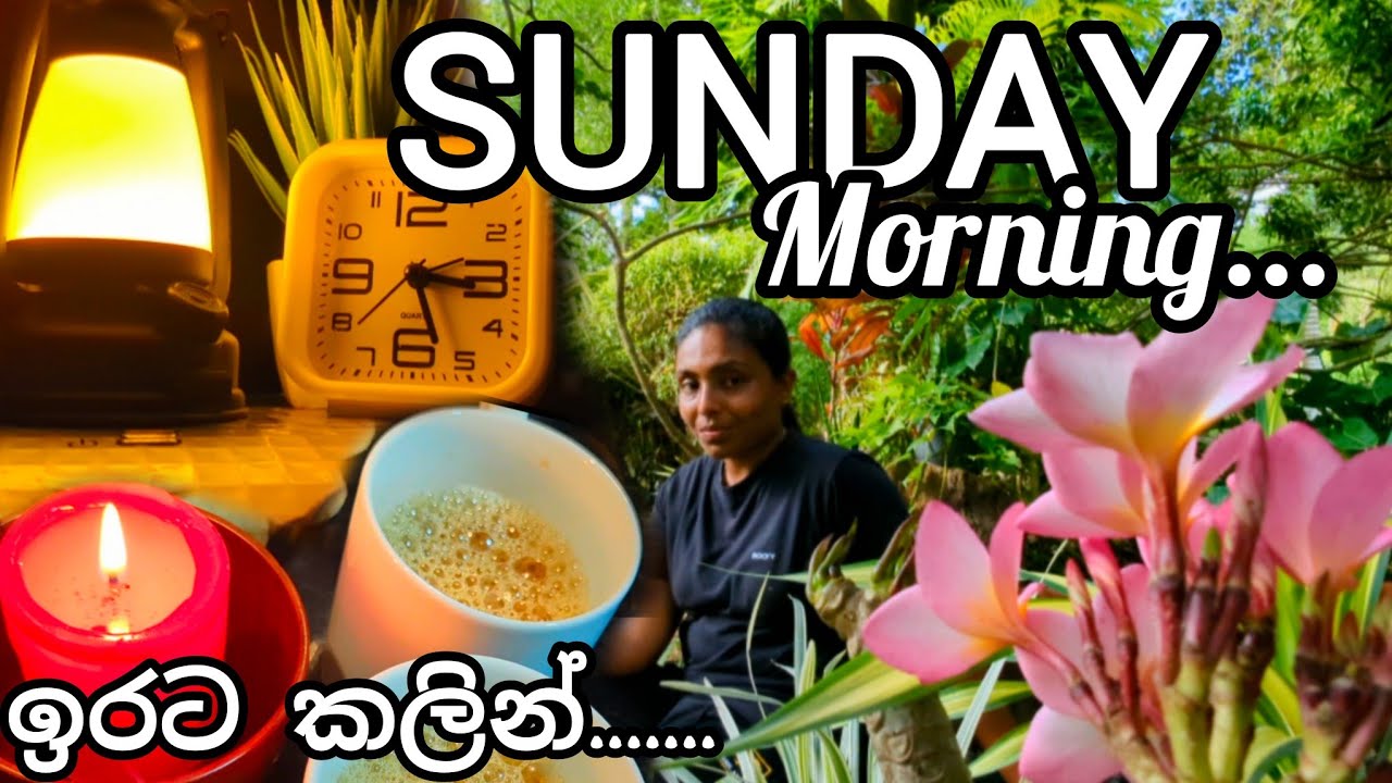 පාන්දර 3.00 ඉඳන් ... වෙනස්වුන කලබල ඉරිදාව🥰Busy Sunday Early Morning with US🥰
